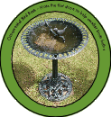 Birdbath pic