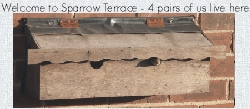 Multiple sparrow nestbox - Click for more information including full constructional details